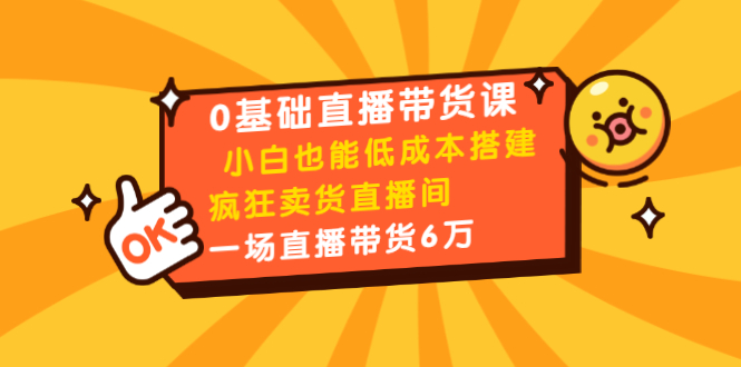 0基础直播带货课：小白也能低成本搭建疯狂卖货直播间：1场直播带货6万 - 网赚资源网-网赚资源网