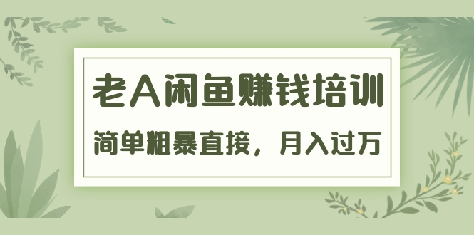 《老A闲鱼赚钱培训》简单粗暴直接，月入过万真正的闲鱼战术实课（51节课） - 网赚资源网-网赚资源网