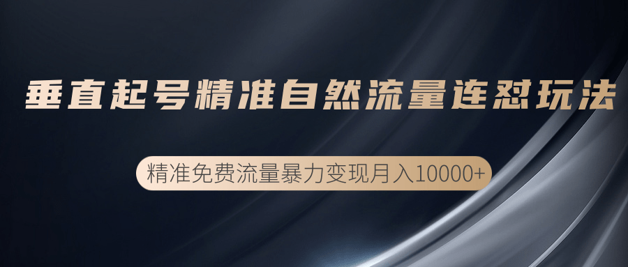 垂直起号精准自然流量连爆玩法，精准引流暴力变现月入10000+ - 网赚资源网-网赚资源网