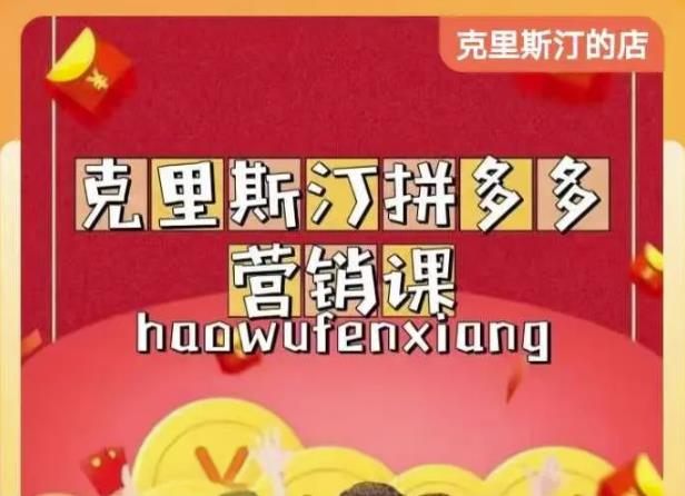 克里斯汀拼多多运营课，适合小白初涉平台，低成本入门 - 网赚资源网-网赚资源网