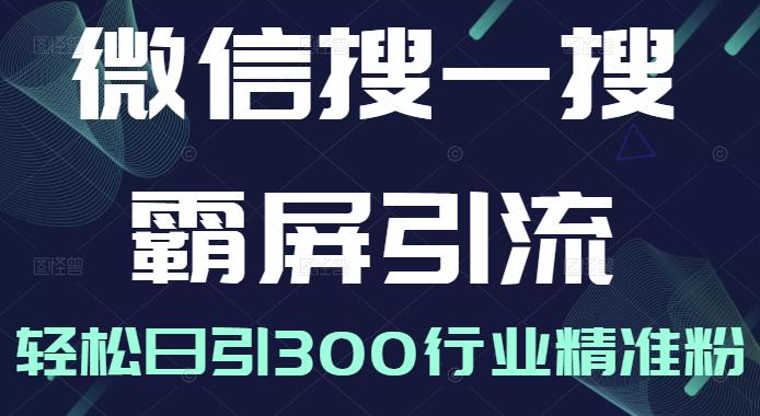 微信搜一搜霸屏引流课，打造被动精准引流系统，轻松日引300行业精准粉 - 网赚资源网-网赚资源网