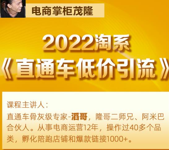 茂隆2022直通车低价引流玩法，教大家如何低投入高回报的直通车玩法 - 网赚资源网-网赚资源网