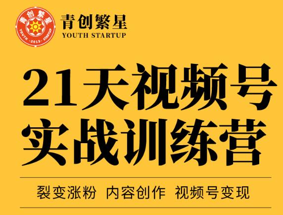 张萌21天视频号实战训练营，裂变涨粉、内容创作、视频号变现 价值298元 - 网赚资源网-网赚资源网