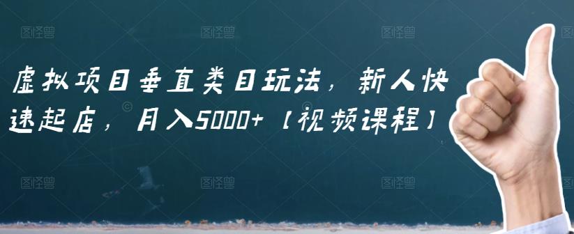 虚拟项目垂直类目玩法，新人快速起店，月入5000+【视频课程】 - 网赚资源网-网赚资源网