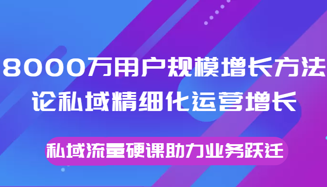 8000万用户规模增长方法论私域精细化运营增长，私域流量硬课助力业务跃迁 - 网赚资源网-网赚资源网