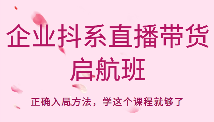 企业抖系直播带货启航班，正确入局方法，学这个课程就够了 - 网赚资源网-网赚资源网