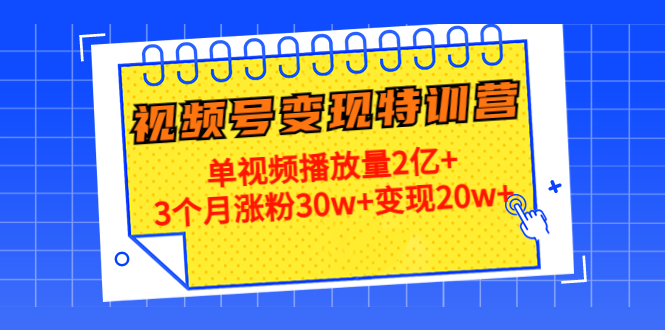 21天视频号变现特训营：单视频播放量2亿+3个月涨粉30w+变现20w+（第14期） - 网赚资源网-网赚资源网