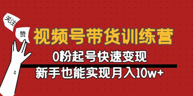 视频号带货训练营：0粉起号快速变现，新手也能实现月入10w+ - 网赚资源网-网赚资源网