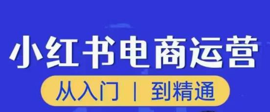 顽石小红书电商高阶运营课程，从入门到精通，玩法流程持续更新 - 网赚资源网-网赚资源网