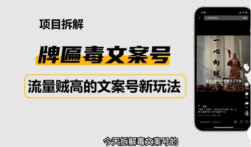 2023抖音快手毒文案新玩法，牌匾文案号，起号快易变现 - 网赚资源网-网赚资源网