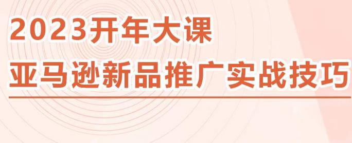 2023亚马逊新品推广实战技巧，线下百万美金课程的精简版，简单粗暴可复制，实操性强的推广手段 - 网赚资源网-网赚资源网