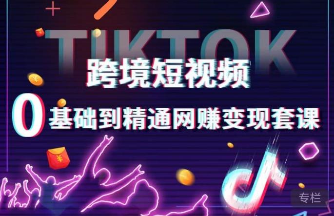 跨境短视频TIKTOK 0基础到精通网赚变现套课，跨境短视频独立站带货变现技巧 - 网赚资源网-网赚资源网