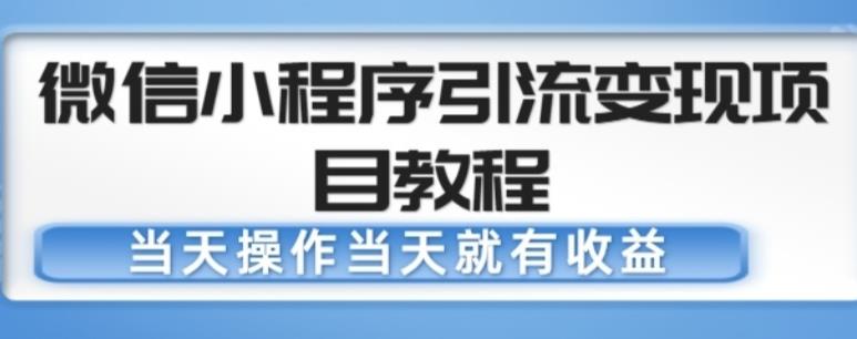 微信小程序引流变现项目教程，当天操作当天就有收益，变现不再是难事 - 网赚资源网-网赚资源网