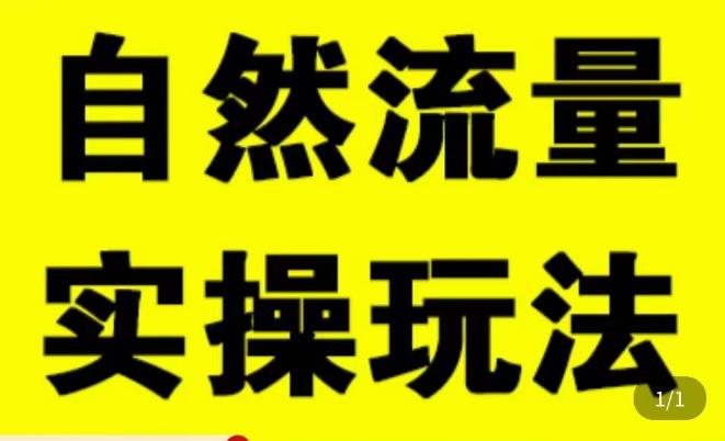 拼多多自然流量天花板，拼多多自然流的实操玩法，自然流量是怎么来的，如何开车带来自然流等知识 - 网赚资源网-网赚资源网