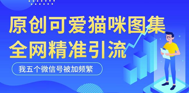 黑科技纯原创可爱猫咪图片，全网精准引流，实操5个VX号被加频繁 - 网赚资源网-网赚资源网