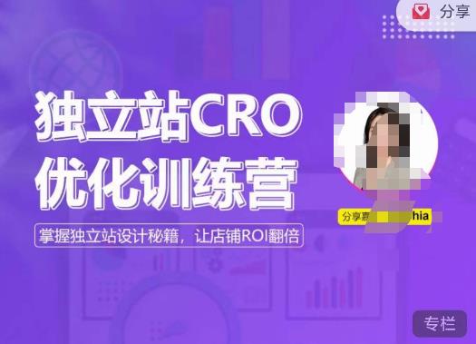 独立站CRO优化训练营，掌握独立站设计秘籍，打造高转化的独立站，让店铺ROI翻倍 - 网赚资源网-网赚资源网