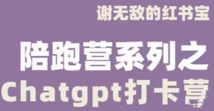 谢无敌ChatGPT打卡营，教你更好地使用ChatGPT来提高工作效率 - 网赚资源网-网赚资源网