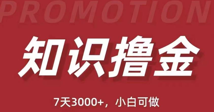 抖音知识撸金项目：简单粗暴日入1000+执行力强当天见收益(教程+资料) - 网赚资源网-网赚资源网