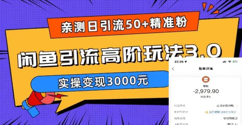 亲测日引50+精准粉，闲鱼引流高阶玩法3.0，实操变现3000元【揭秘】 - 网赚资源网-网赚资源网