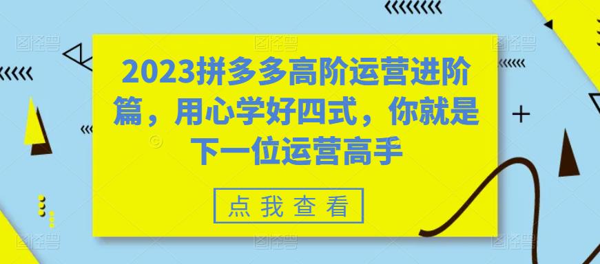 2023拼多多高阶运营进阶篇，用心学好四式，你就是下一位运营高手 - 网赚资源网-网赚资源网