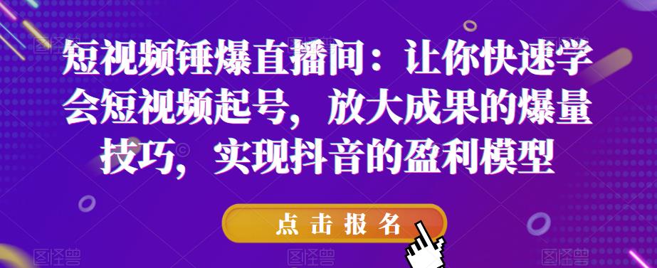 短视频锤爆直播间：让你快速学会短视频起号，放大成果的爆量技巧，实现抖音的盈利模型 - 网赚资源网-网赚资源网