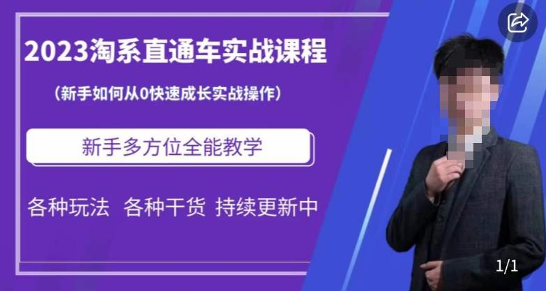 2023淘系直通车保姆式运营讲解，新手如何从0快速成长实战操作，新手多方位全能教学 - 网赚资源网-网赚资源网