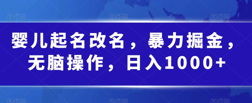 婴儿起名改名，暴力掘金，无脑操作，日入1000+【揭秘】 - 网赚资源网-网赚资源网