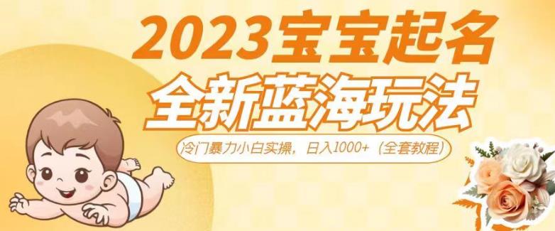 2023宝宝起名全新蓝海玩法，冷门暴力小白实操，日入1000+（全套教程）【揭秘】 - 网赚资源网-网赚资源网