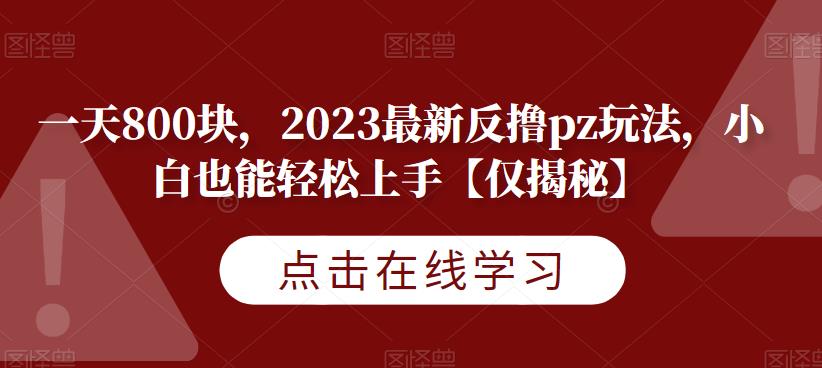 一天800块，2023最新反撸pz玩法，小白也能轻松上手【仅揭秘】 - 网赚资源网-网赚资源网