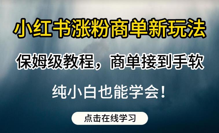 小红书涨粉商单新玩法，保姆级教程，商单接到手软，纯小白也能学会【揭秘】 - 网赚资源网-网赚资源网