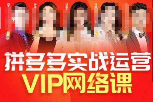 推易拼多多VIP全套直播课程，拼多多店铺实操玩法+实战玩法选款内功+直通车高阶等 - 网赚资源网-网赚资源网