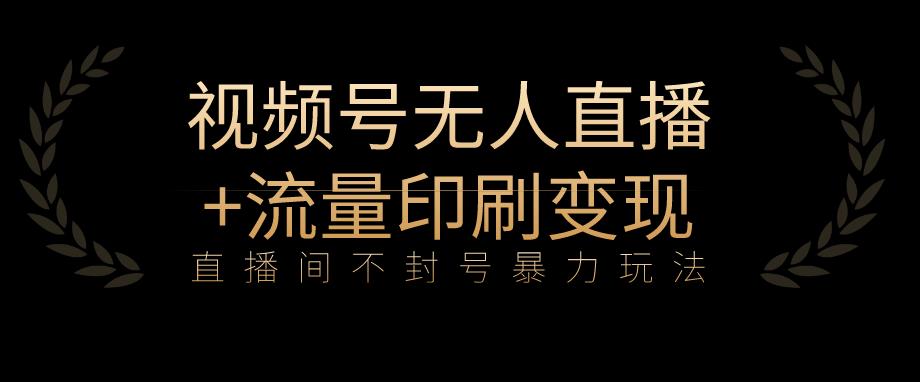 全网首发视频号不封号无人直播暴利玩法+流量印刷机变现，日入1000+【揭秘】 - 网赚资源网-网赚资源网