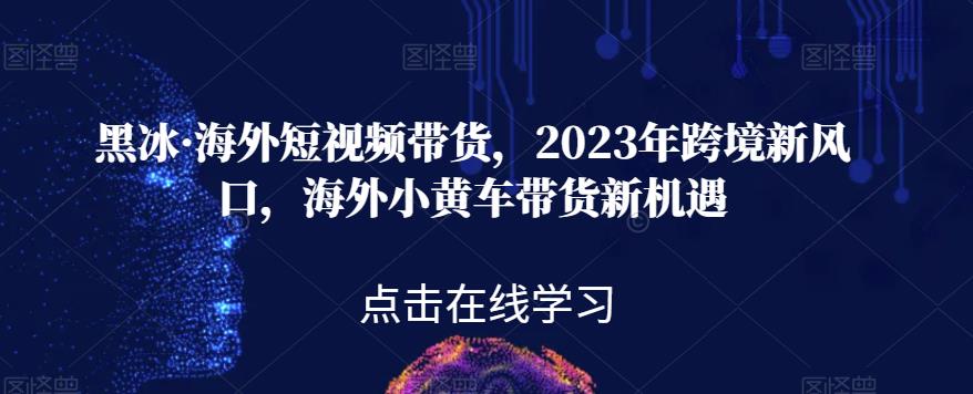 黑冰·海外短视频带货，2023年跨境新风口，海外小黄车带货新机遇 - 网赚资源网-网赚资源网