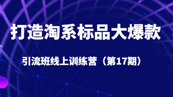 打造淘系标品大爆款引流班线上训练营（第17期）5天直播授课 - 网赚资源网-网赚资源网