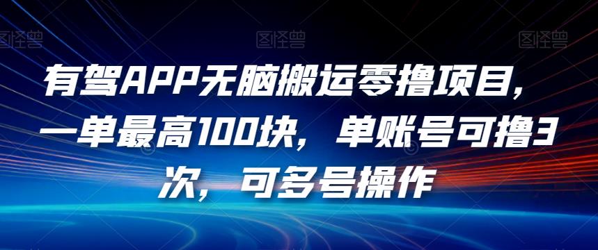 有驾APP无脑搬运零撸项目，一单最高100块，单账号可撸3次，可多号操作【揭秘】 - 网赚资源网-网赚资源网