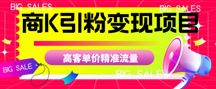 商K引粉变现项目，高客单价精准流量【揭秘】 - 网赚资源网-网赚资源网