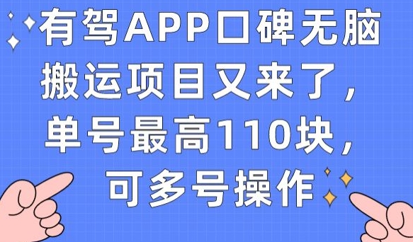 有驾APP口碑无脑搬运项目又来了，单号最高110块，可多号操作 - 网赚资源网-网赚资源网