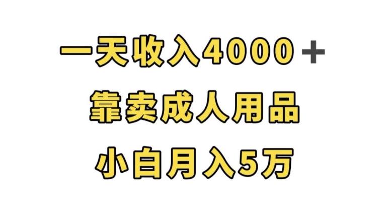 一天收入4000+，靠卖成人用品，小白轻松月入5万【揭秘】 - 网赚资源网-网赚资源网