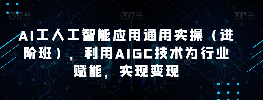 AI工人工智能应用通用实操（进阶班），利用AIGC技术为行业赋能，实现变现 - 网赚资源网-网赚资源网