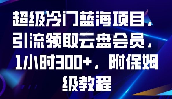 超级冷门蓝海项目，引流领取云盘会员，1小时300+，附保姆级教程 - 网赚资源网-网赚资源网