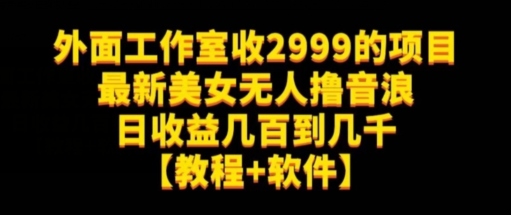 外面工作室收2999的项目最新美女无人撸音浪日收益几百到几千【教程+软件】（仅揭秘） - 网赚资源网-网赚资源网