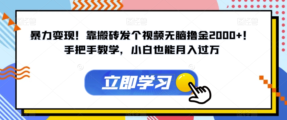 暴力变现！靠搬砖发个视频无脑撸金2000+！手把手教学，小白也能月入过万【揭秘】 - 网赚资源网-网赚资源网