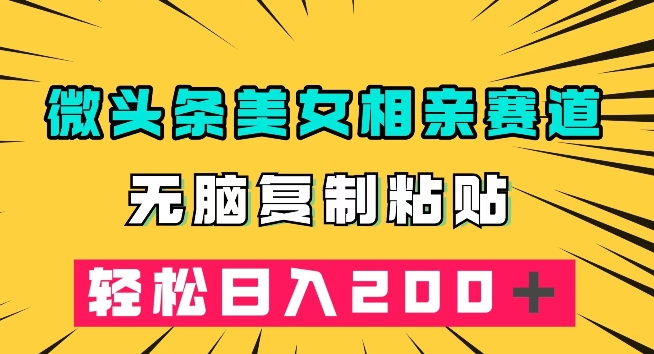 微头条冷门美女相亲赛道，无脑复制粘贴，轻松日入200＋【揭秘】 - 网赚资源网-网赚资源网