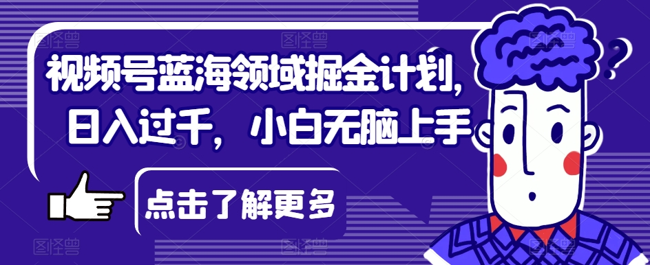 视频号蓝海领域掘金计划，日入过千，小白无脑上手【揭秘】 - 网赚资源网-网赚资源网