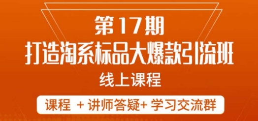 南掌柜-第17期打造淘系标品大爆款，5天线上课 - 网赚资源网-网赚资源网