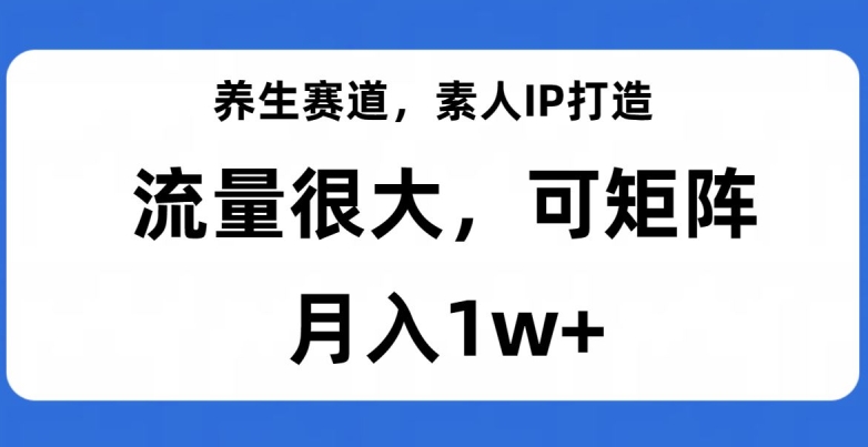 养生赛道，素人IP打造，流量很大，可矩阵，月入1w+【揭秘】 - 网赚资源网-网赚资源网