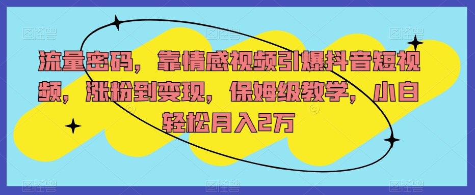 流量密码，靠情感视频引爆抖音短视频，涨粉到变现，保姆级教学，小白轻松月入2万【揭秘】 - 网赚资源网-网赚资源网