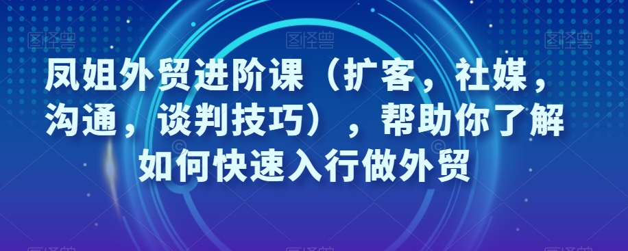 凤姐外贸进阶课（扩客，社媒，沟通，谈判技巧），帮助你了解如何快速入行做外贸 - 网赚资源网-网赚资源网