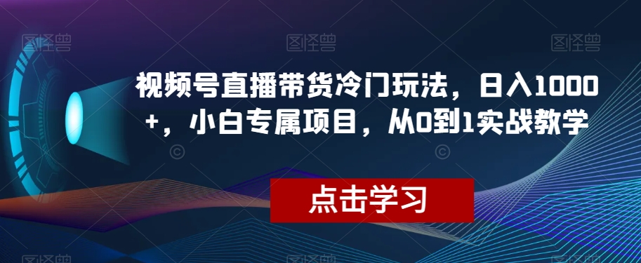 视频号直播带货冷门玩法，日入1000+，小白专属项目，从0到1实战教学【揭秘】 - 网赚资源网-网赚资源网