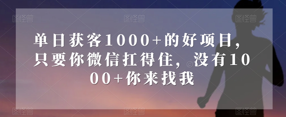 单日获客1000+的好项目，只要你微信扛得住，没有1000+你来找我【揭秘】 - 网赚资源网-网赚资源网